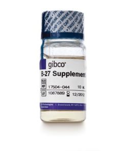 B-27 Supplement
