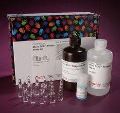 Micro BCA Protein Assay Kit