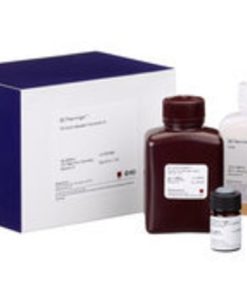 BD Cytofix/Cytoperm™ Fixation/Permeabilization Solution Kit -125ml
