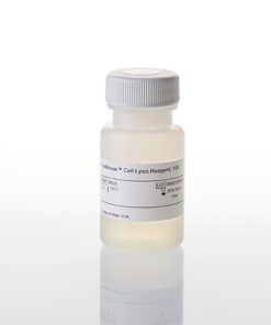 Cell Lysis Buffer (10X)-15ML