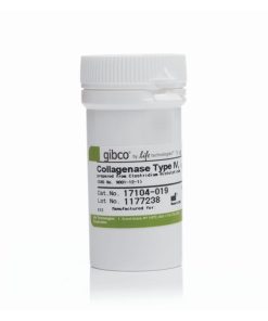 Collagenase, Type IV, powder