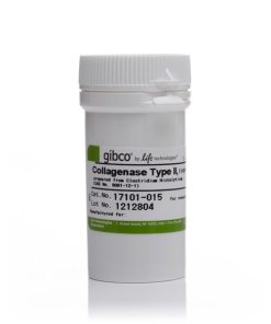 Dispase II, powder