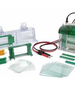 Mini-PROTEAN® Short Plates