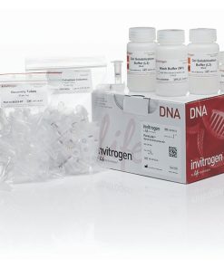 PureLink™ Quick Gel Extraction Kit