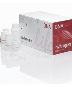 PureLink® Quick Plasmid Miniprep Kit