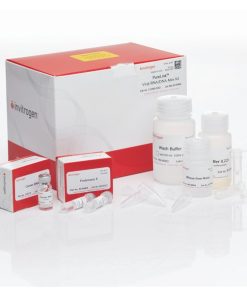 PureLink™ Viral RNA/DNA Mini Kit 50 reactions