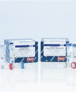 (QuantiFast Probe RT-PCR +ROX Vial Kit (2000