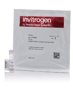 SYBR® Safe DNA Gel Stain-For Use Fluorescent Detection