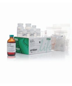 TRIzol™ Plus RNA Purification Kit