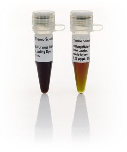 O'RangeRuler 20 bp DNA Ladder, Ready-to-Use 20-300 bp