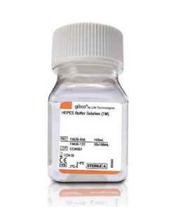 Hepes buffer 1M