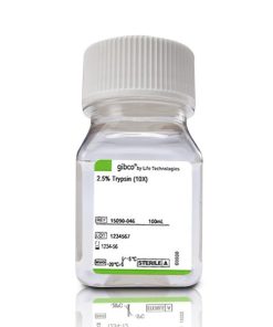 %Trypsin 0.05