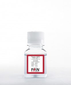 Trypsin 0.25 %/1 mM