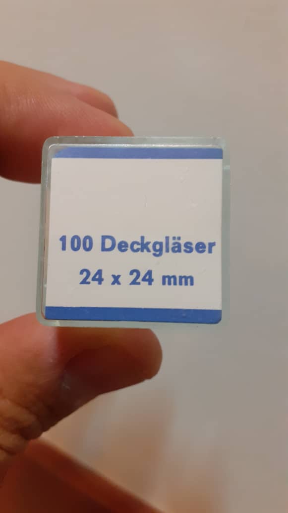 لام نئوبار - Image 3