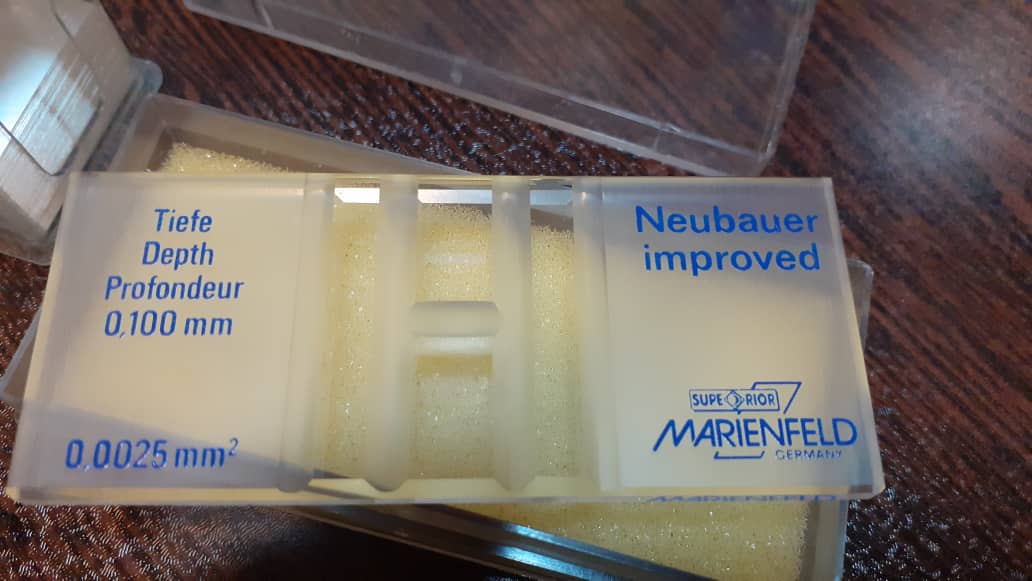 لام نئوبار - Image 2