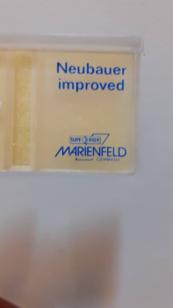 لام نئوبار - Image 4