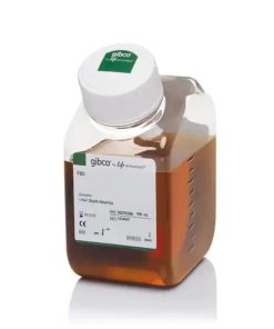 Fetal Bovine Serum
