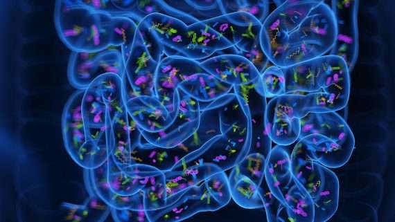 Study: Reconstructing the landscape of gut microbial species across 29,000 diverse individuals. Image Credit: SciePro / Shutterstock
