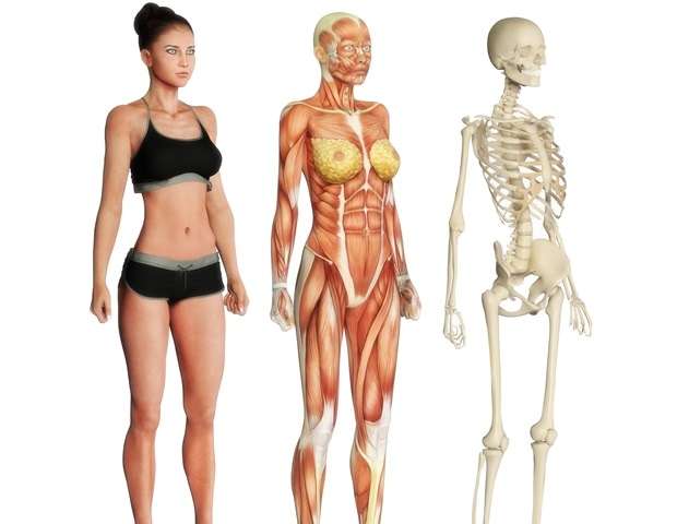 این مطالعه می تواند برای مهندسی انواع نوروتوکسین E بوتولینوم جدید مورد استفاده قرار گیرد