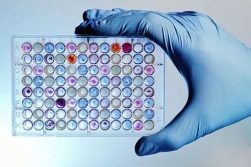 Study: Computational approaches streamlining drug discovery. Image Credit: angellodeco / Shutterstock