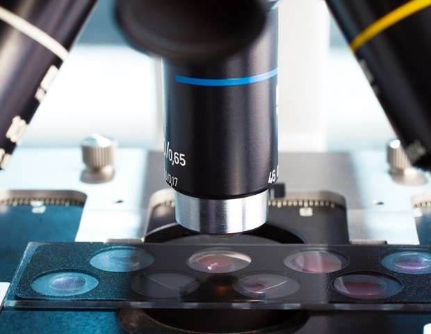 مطالعه مکانیسم‌های پشت ریتم‌های شبانه‌روزی را روشن می‌کند