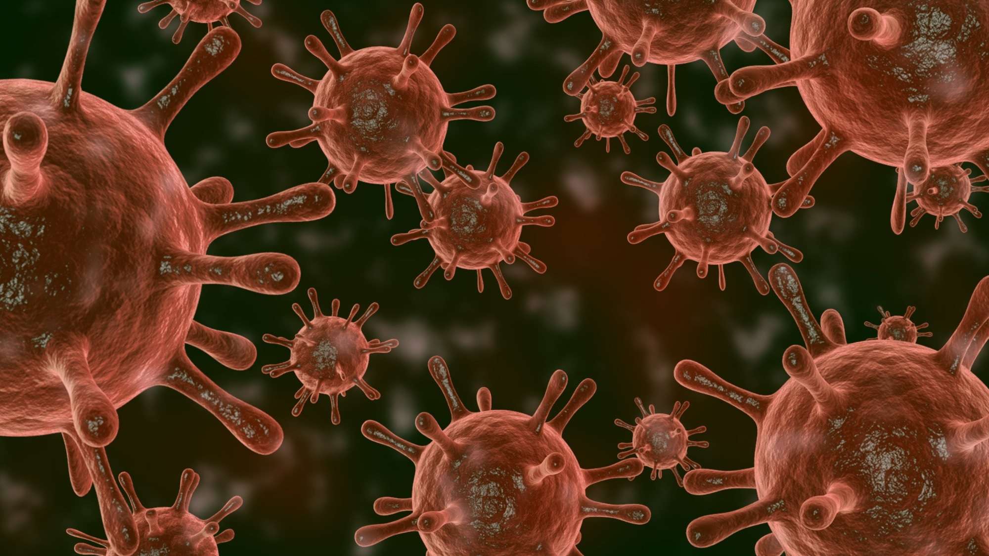 Study: SARS-CoV-2 utilization of ACE2 from different bat species allows for virus entry and replication in vitro. Image Credit: Olena.Hypnosis / Shutterstock.com