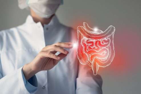 Study: Short-Chain Fatty-Acid-Producing Bacteria: Key Components of the Human Gut Microbiota. Image Credit: mi_viri / Shutterstock.com