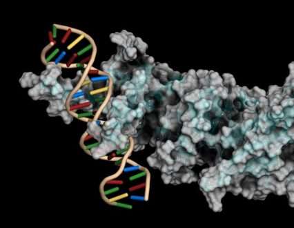 روش جدید توسعه یافته می تواند به شناسایی تفاوت های خاص در اطلاعات ژنتیکی کمک کند