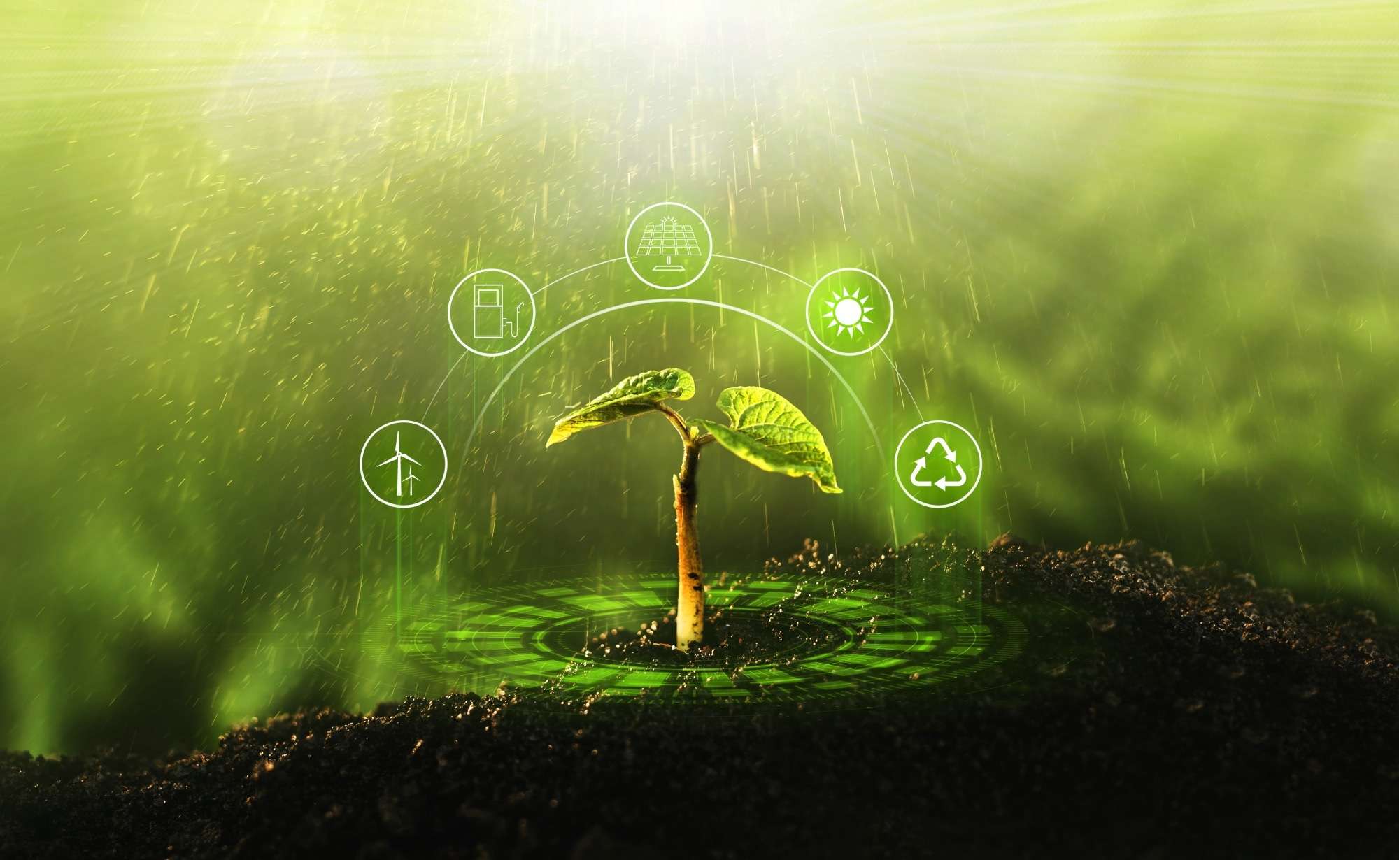 Study: From “good for people” to “good for people and planet” – Placing health and environment on equal footing when developing food-based dietary guidelines. Image Credit: Miha Creative / Shutterstock