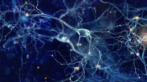 ACROBiosystems Aneuro با بیوچیپ های تشخیصی شریک است