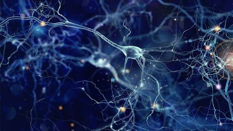 ACROBiosystems Aneuro با بیوچیپ های تشخیصی شریک است