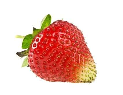 ردیابی اصل و نسب هیبریدها با استفاده از روشی جدید