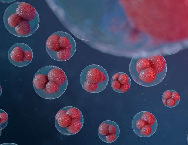 محققان Penn Medicine 6 میلیون دلار کمک مالی NIH دریافت می کنند تا بینش جدیدی در مورد هویت سلولی قلبی به دست آورند.
