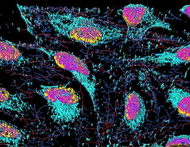 محققان سیستم تحویل دارو با کنترل نور را با استفاده از لیپوزوم توسعه دادند