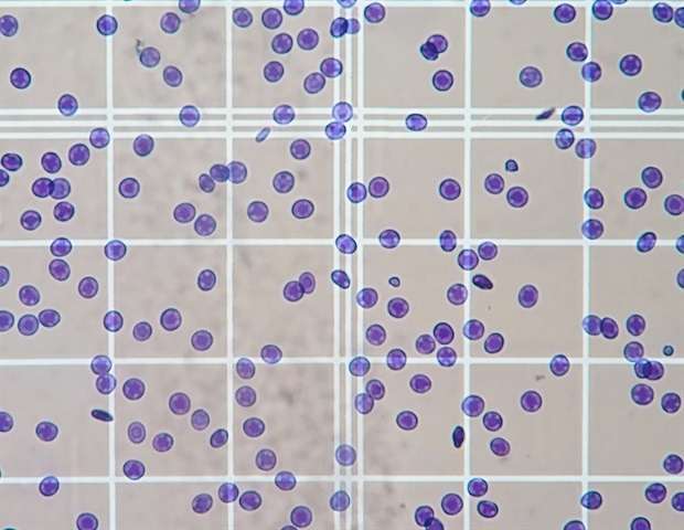 محققی از دانشگاه Wageningen برنده Green CellDrop Giveaway شد