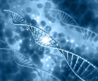 Study: Design of bacteriophage T4-based artificial viral vectors for human genome remodeling. Image Credit: Kjpargeter / Shutterstock.com