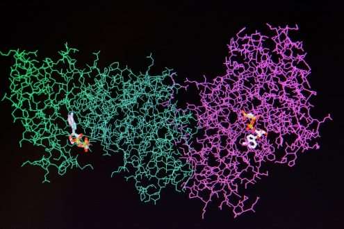 Proteomics, protein