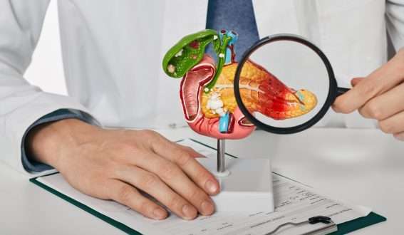 Study: Measuring anti-islet autoimmunity in mice and human by profiling peripheral blood antigen-specific CD4 T cells. Image Credit: Peackstock / Shutterstock.com