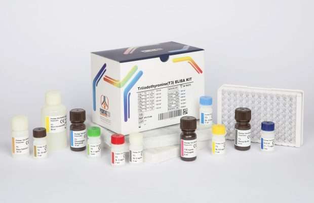 کیت الایزا T3