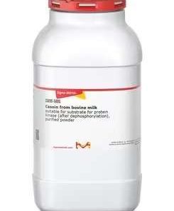 کازئین شیر گاو