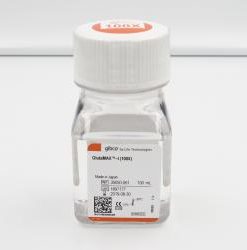 GLUTA MAX