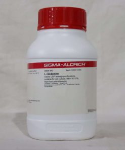 خرید ال گلوتامین