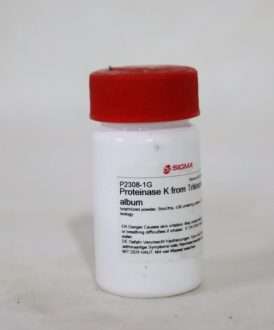 خرید پروتئیناز K