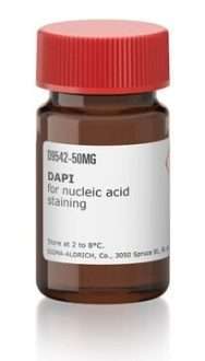 DAPI