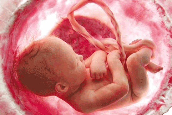 غربالگری جنین چیست؟