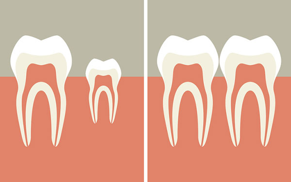 دانشمندان راهی برای رشد مجدد دندان‌ها پیدا کرده اند.