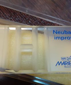 Alternative view of لام نئوبار