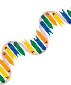 آنزیم ریبونوکلئاز اینهیبیتور