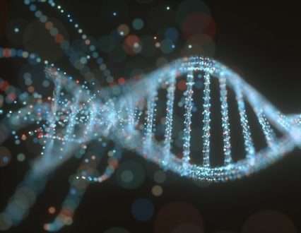 قطعات «حذف شده» از اطلاعات ژنتیکی ممکن است برای توسعه نوع بشر بسیار مهم باشد