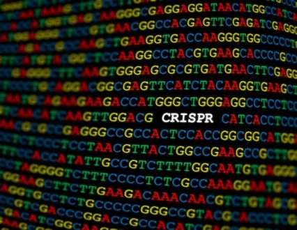مطالعه سرنخ های جدیدی را نشان می دهد و سؤالات بیشتری را در مورد CRISPR مطرح می کند